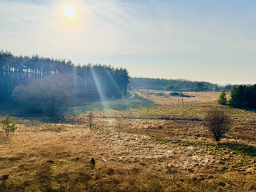 Dom Sprzedaż Bierzwnik