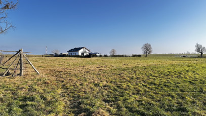 Działka Sprzedaż Jeldzino