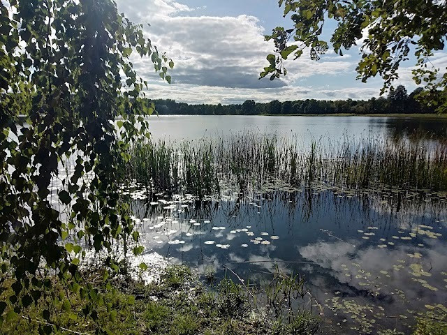 Działka Sprzedaż Skolity 6