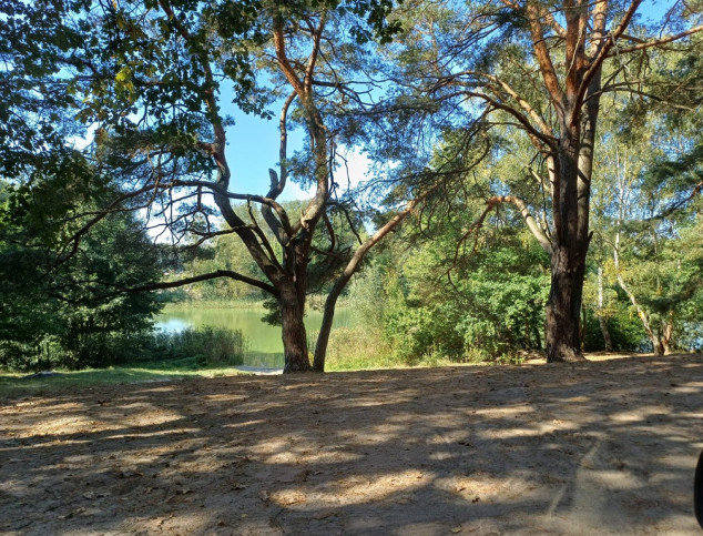 Działka Sprzedaż Bartoszewo 5