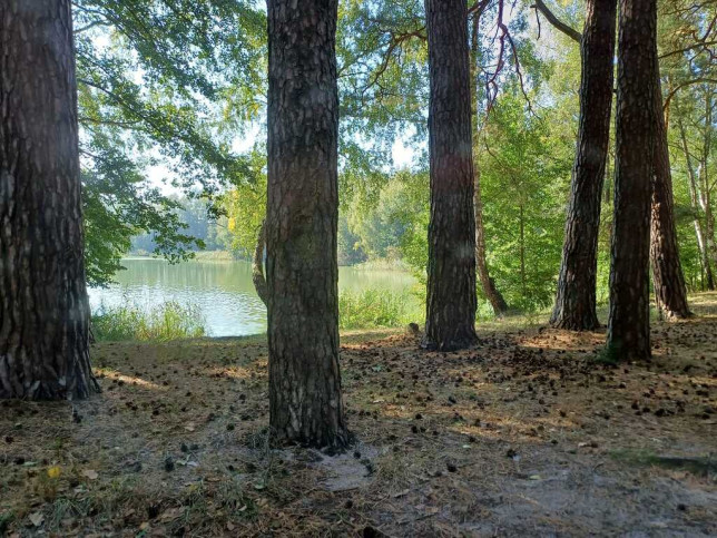 Działka Sprzedaż Bartoszewo 9