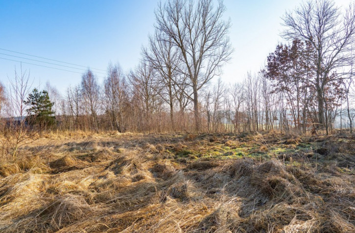 Działka Sprzedaż Ścienne 9
