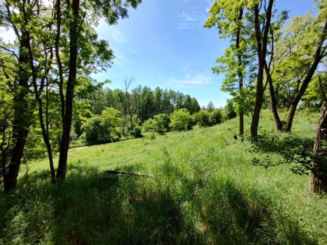 Działka Sprzedaż Stary Błeszyn 9