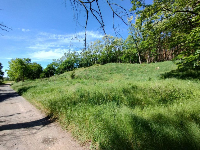 Działka Sprzedaż Stary Błeszyn 2