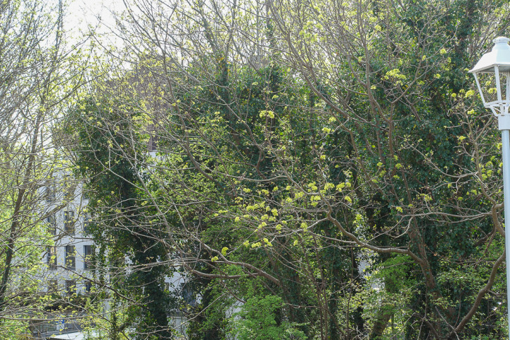 Mieszkanie Sprzedaż Dziwnów 3