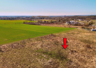 Działka Sprzedaż Żółwia Błoć