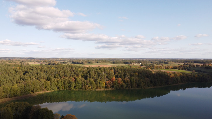 Działka Sprzedaż Borowe 3