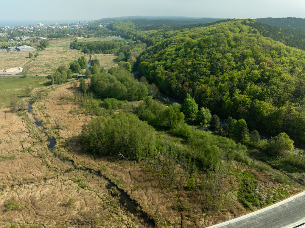 Działka Sprzedaż Wicko