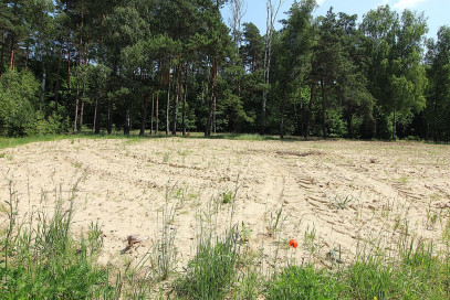 Działka Sprzedaż Grabowo