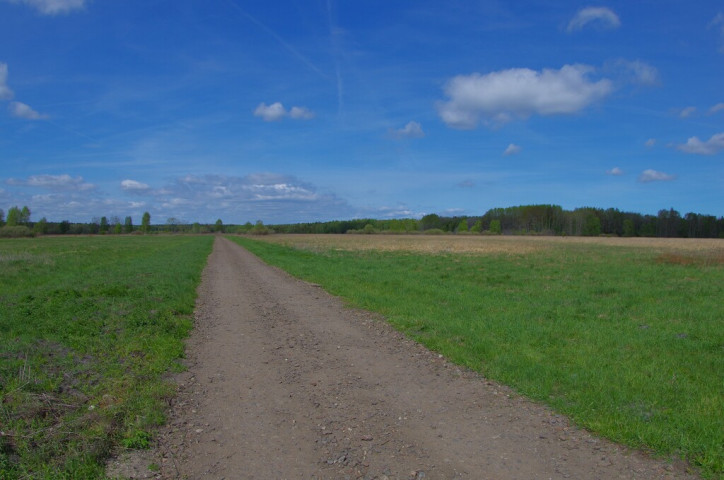 Działka Sprzedaż Niedźwiedź 5
