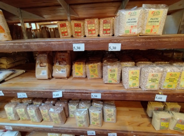 Lokal Sprzedaż Szczecin Pogodno