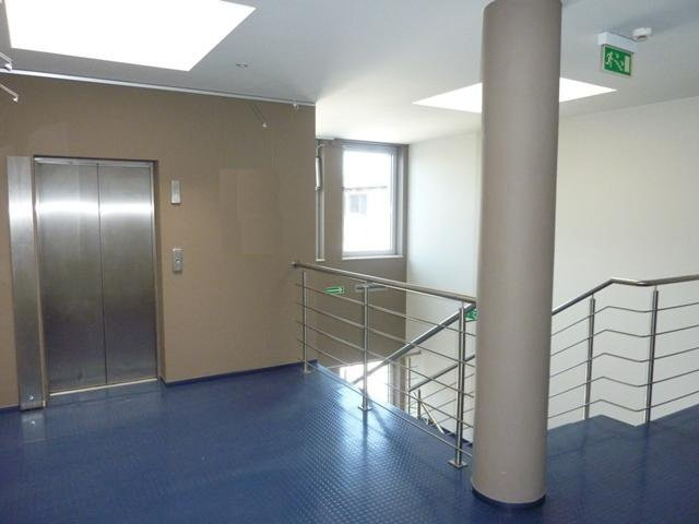 Lokal Wynajem Szczecin Centrum 29