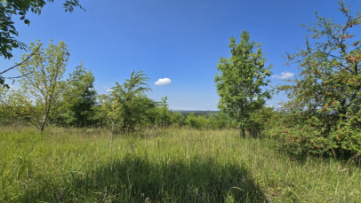 Działka Sprzedaż Radziszewo Liliowa