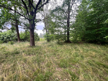 Działka Sprzedaż Storkowo