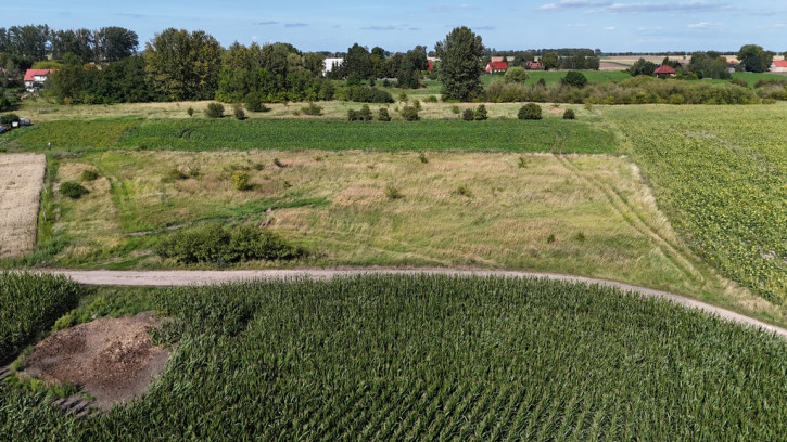 Działka Sprzedaż Rzepnowo 5