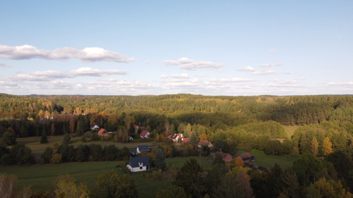 Działka Sprzedaż Borowe 7