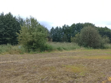 Działka Sprzedaż Stara Dąbrowa