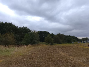 Działka Sprzedaż Stara Dąbrowa