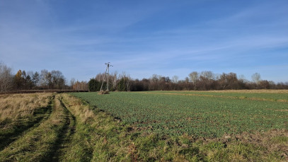 Działka Sprzedaż Rzeszów