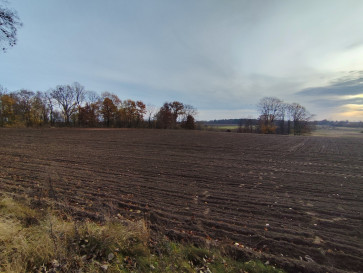 Działka Sprzedaż Wojcieszyn