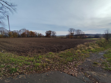 Działka Sprzedaż Wojcieszyn