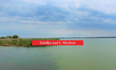 Działka Sprzedaż Wierzbno