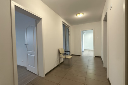 Lokal Wynajem Szczecin Centrum