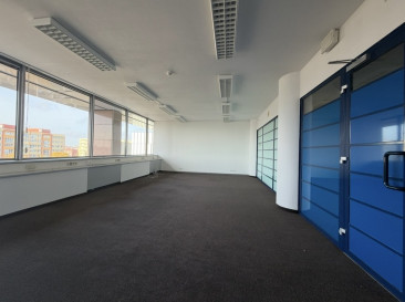 Lokal Wynajem Szczecin Centrum