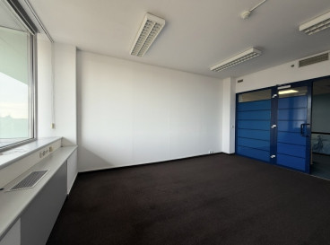 Lokal Wynajem Szczecin Centrum