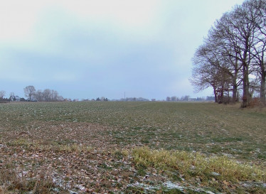 Działka Sprzedaż Wojcieszyn
