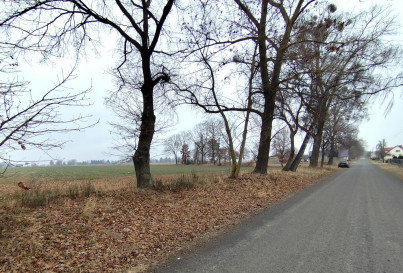 Działka Sprzedaż Wojcieszyn