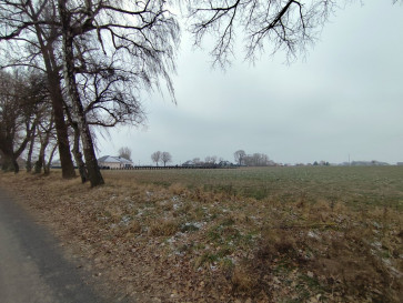 Działka Sprzedaż Wojcieszyn