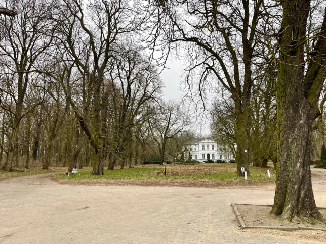 Dom Sprzedaż Mosina 18