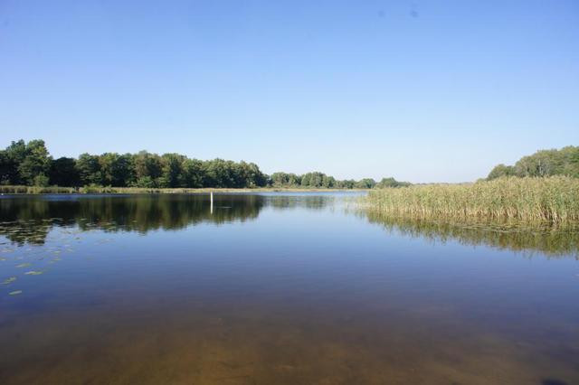 Działka Sprzedaż Dobra 9