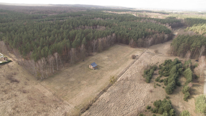 Działka Sprzedaż Szczecin Płonia 5