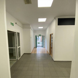 Lokal Wynajem Szczecin Centrum