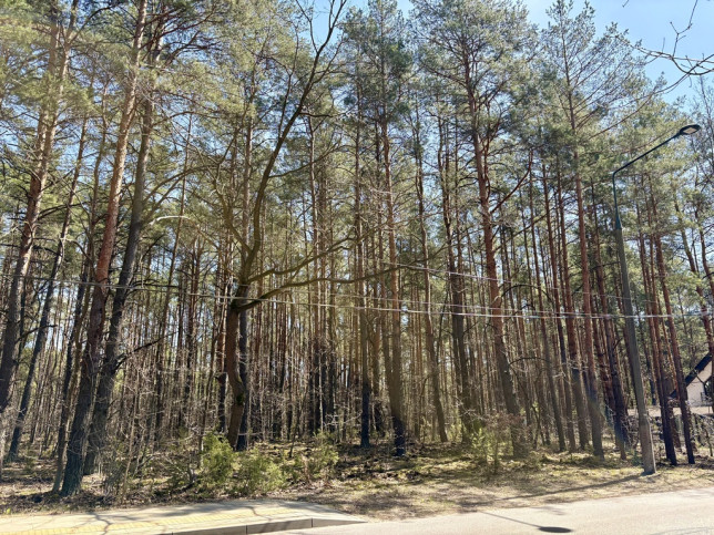 Działka Sprzedaż Warszawa Wawer Kwitnącej Akacji 2