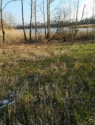 Działka Sprzedaż Kaszewo 2