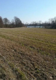 Działka Sprzedaż Kaszewo