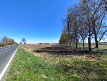 Działka Sprzedaż Wojcieszyn