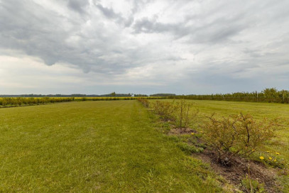 Dom Sprzedaż Rekowo