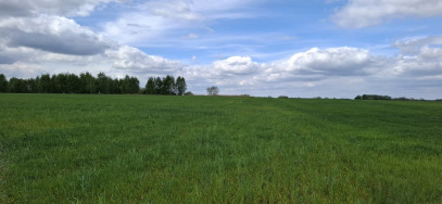 Działka Sprzedaż Bagna