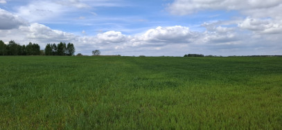 Działka Sprzedaż Bagna