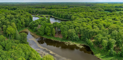 Działka Sprzedaż Wisławie