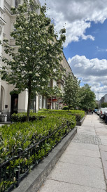 Mieszkanie Sprzedaż Szczecin Centrum Monte Cassino