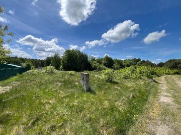 Działka Sprzedaż Brzózki