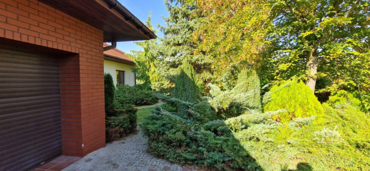 Dom Sprzedaż Kościno 28