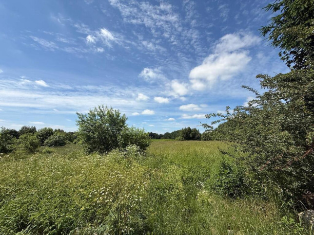 Działka Sprzedaż Krasnołęka 11