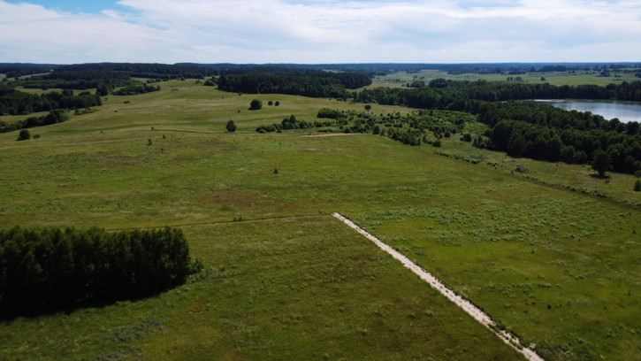 Działka Sprzedaż Skolity 6