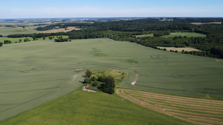 Działka Sprzedaż Wysoka Dąbrowa 2